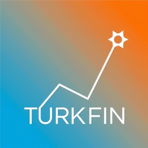 TurkFin Logo